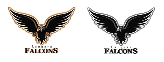Falcons Logo Contest Winning Logo
